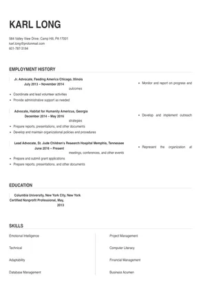 professional resume format for advocate
