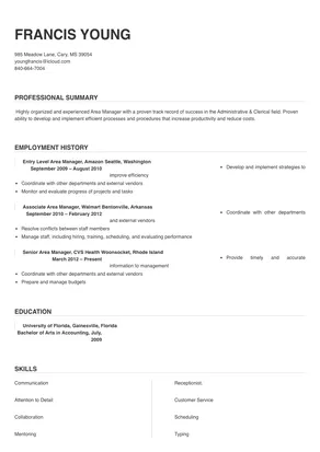 resume objective examples for area manager