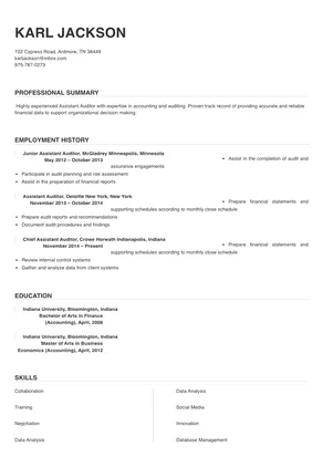 audit assistant job description for resume