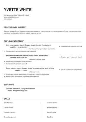 assistant branch manager resume examples