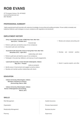 audit associate job description resume