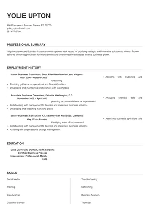 sample business consultant resume