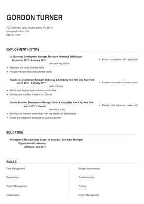 business development manager real estate resume