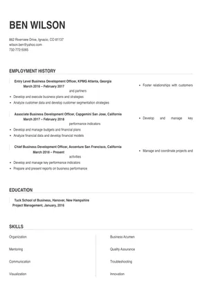 business development officer resume pdf