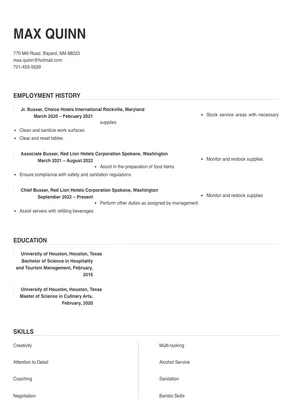 professional summary for resume busser