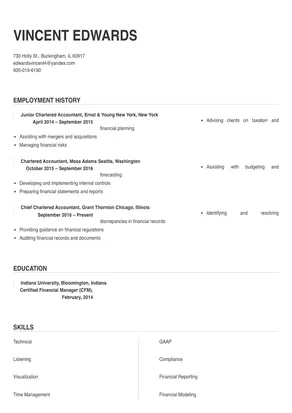 resume format for experienced chartered accountant