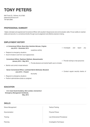 summary resume examples corrections officer