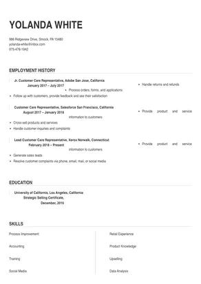 customer care representative job description resume
