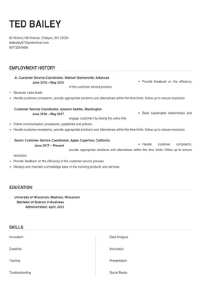 customer service coordinator resume example