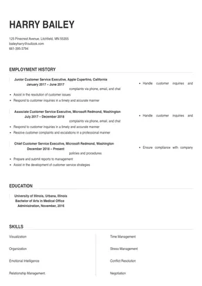 customer service executive resume pdf