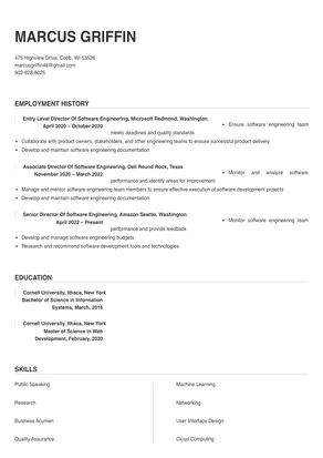 sample resume for director software engineering