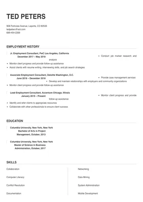 employment consultant resume