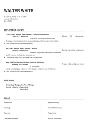 oracle erp project manager resume