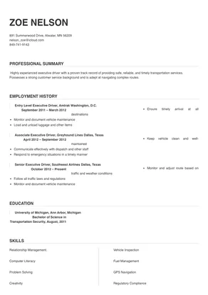 executive driver cover letter