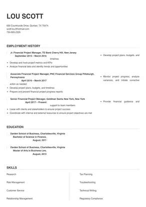 finance project manager resume sample
