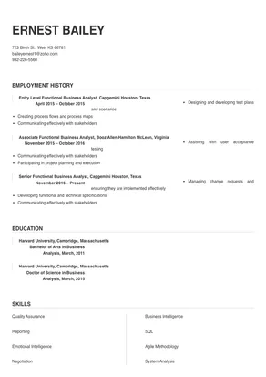 functional business analyst resume