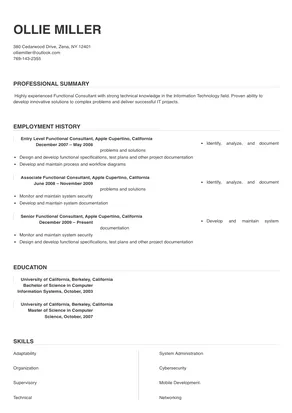 functional resume for consultant