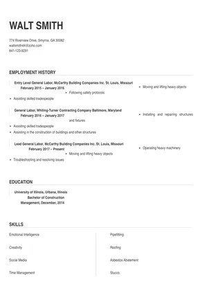 resume summary examples for general labor