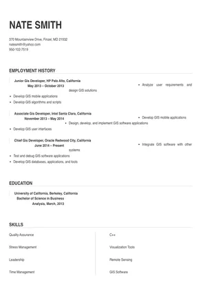 entry level gis resume examples