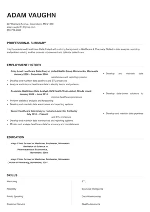 healthcare analyst resume examples
