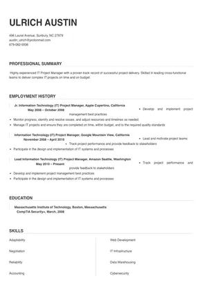 information technology project manager resume