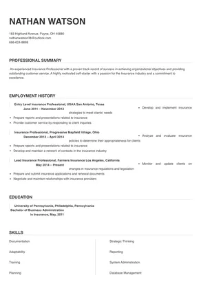 professional insurance resume examples