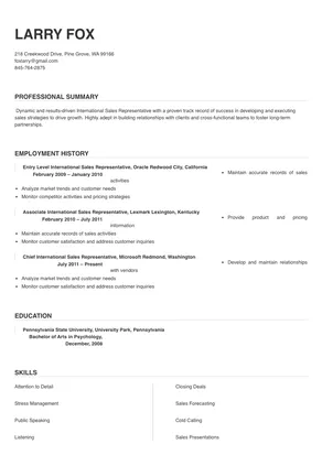 international sales job description resume