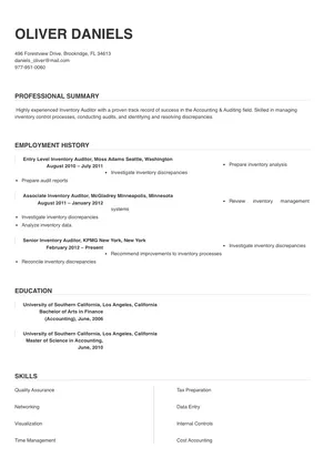inventory auditor job description for resume