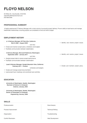 It Delivery Manager Resume Sample & Tips | Online Resume Builder