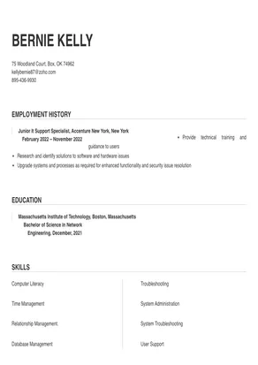 resume for it support specialist