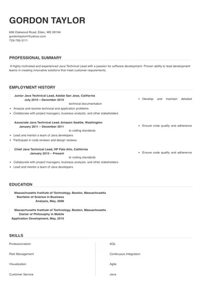 Java Technical Lead Resume Sample & Tips | Online Resume Builder