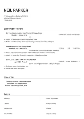 junior auditor job description for resume
