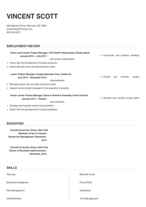 junior project manager resume examples