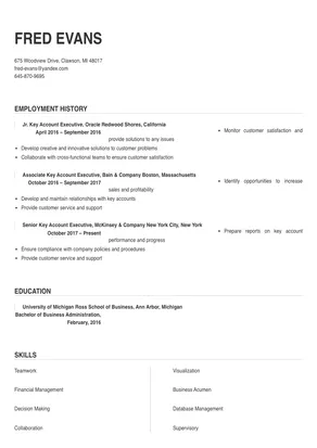 sample resume for key account executive