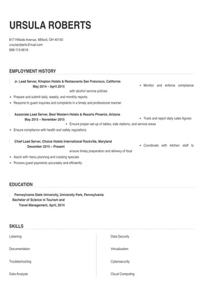 lead server job description for resume