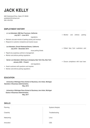professional summary for resume lot attendant