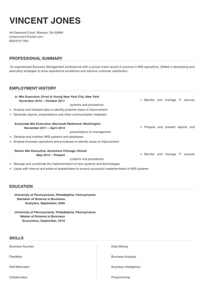 best resume format for mis executive
