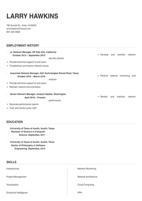 network manager resume examples