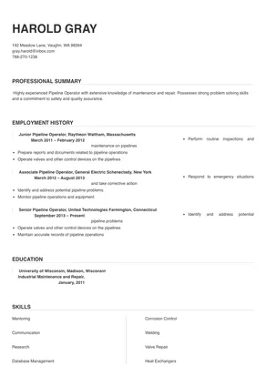 resume objective examples for pipeline operator