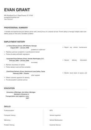 resume examples for pizza delivery driver