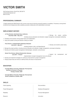 Pmo Director Resume Sample & Tips | Online Resume Builder