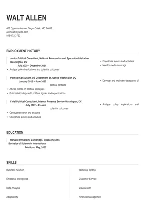 political consultant job resume sample