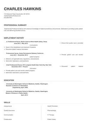 professional nurse resume format