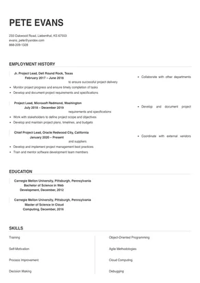 project lead responsibilities resume