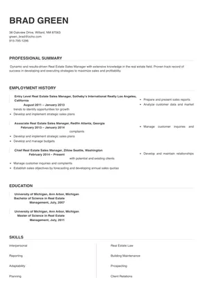 resume format for real estate sales manager india