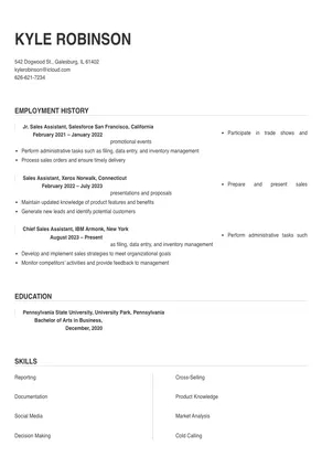 resume sample for sales assistant