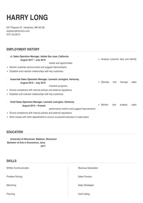 resume sales operations manager