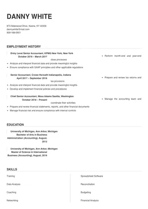 resume format for senior accountant in india