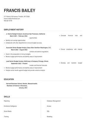 Senior Budget Analyst Resume Sample & Tips | Online Resume Builder