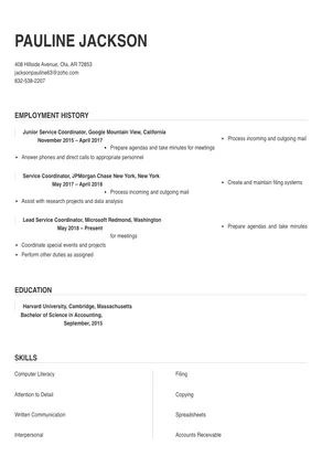 sample resume for service coordinator